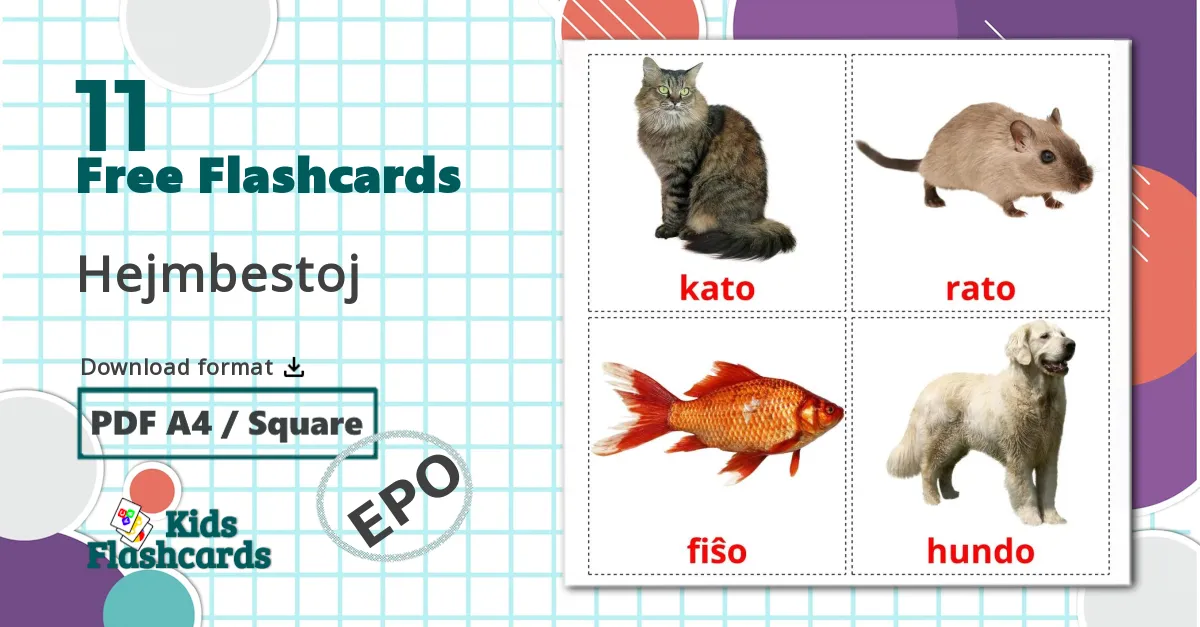 11 Hejmbestoj flashcards