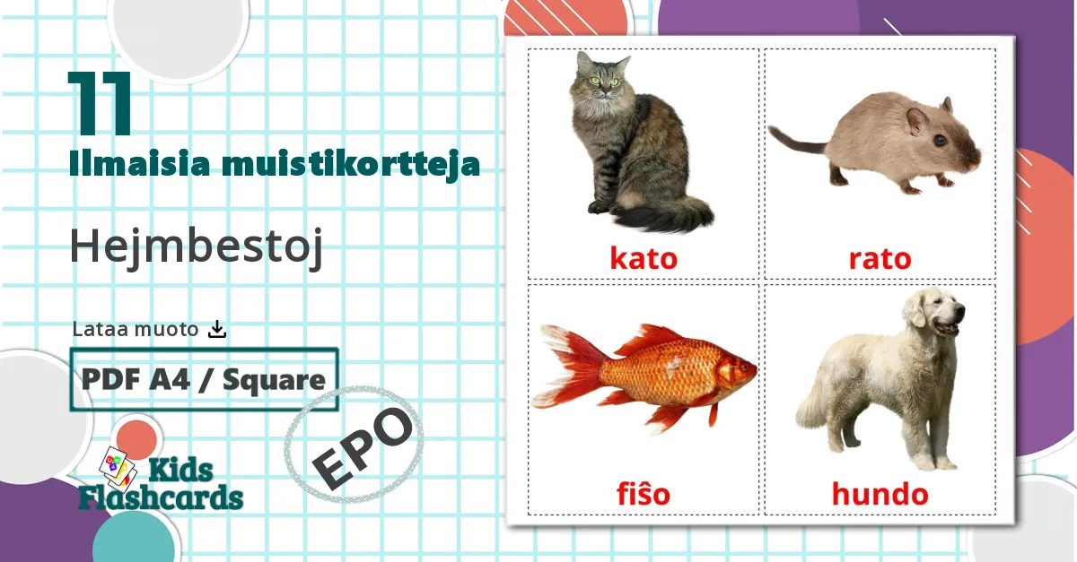 11 Hejmbestoj lasten kuvakortit