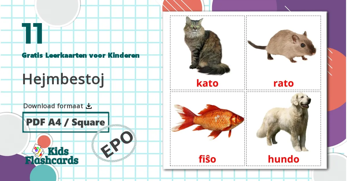 11 Hejmbestoj Leerkaarten voor kinderen