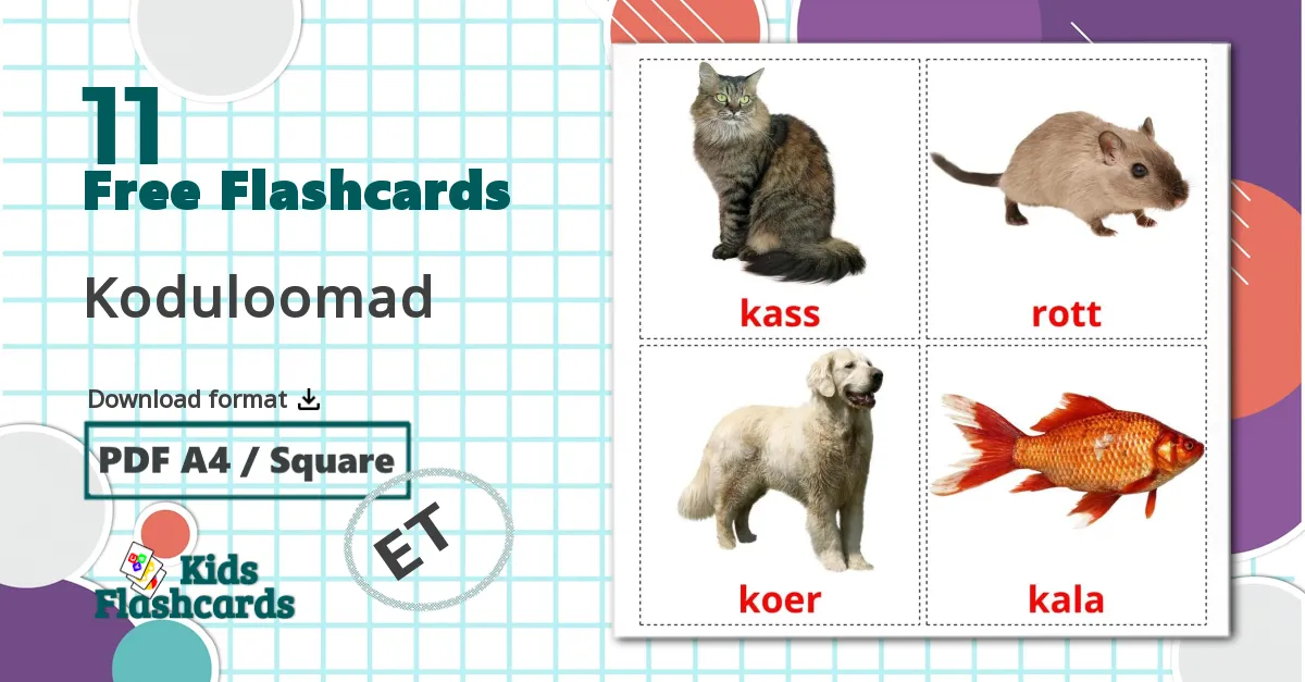 11 Koduloomad flashcards