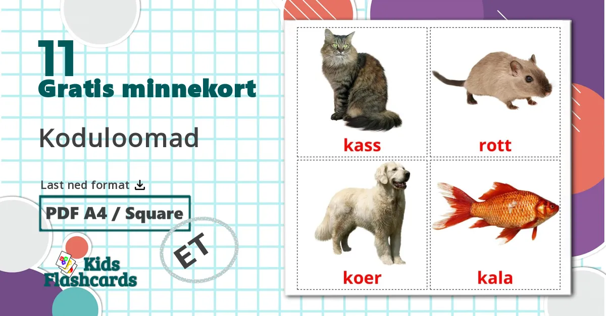 11 Koduloomad bildekort
