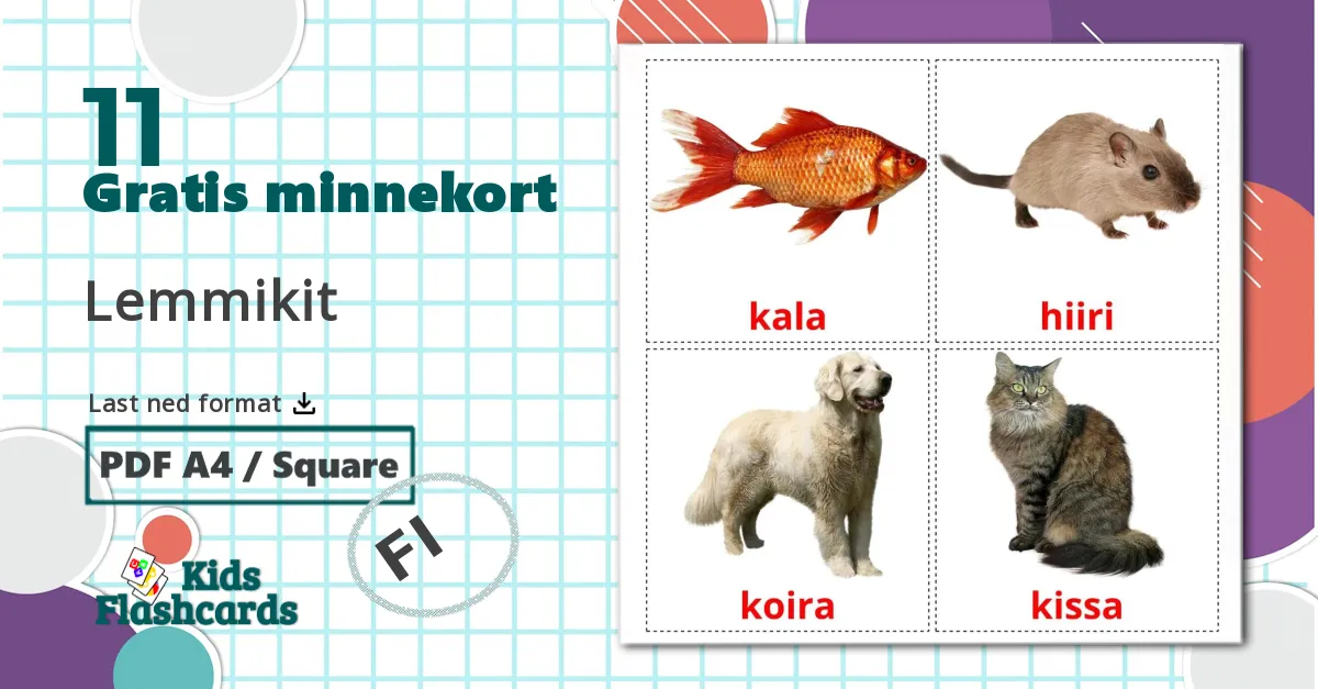 11 Lemmikit bildekort