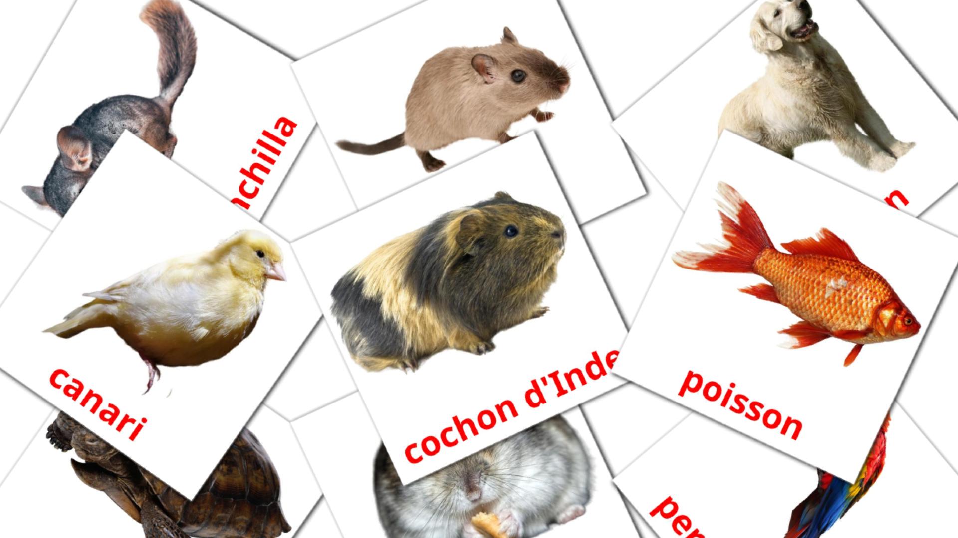 Bildkarten für Les animaux Domestiques