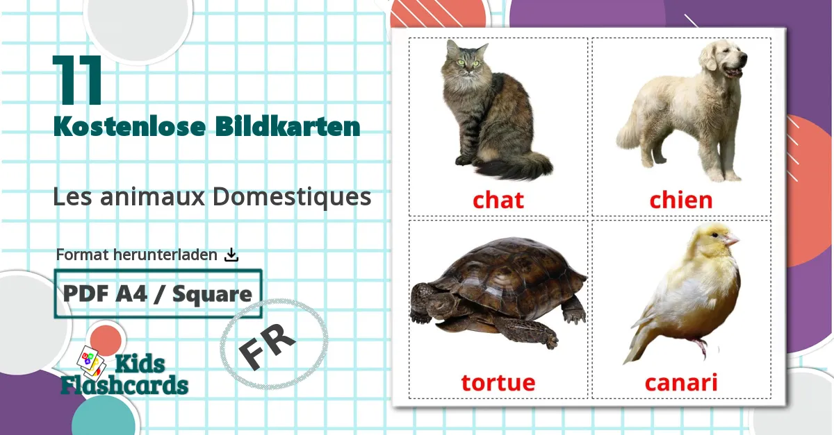 11 Bildkarten für Les animaux Domestiques