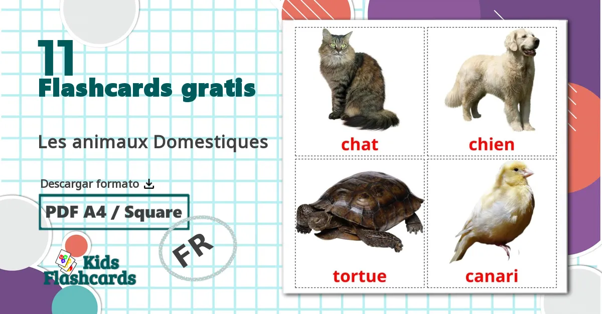 11 tarjetas didacticas de Les animaux Domestiques