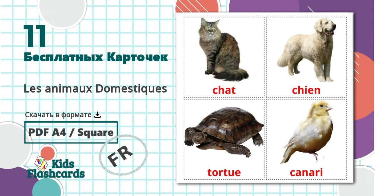 11 Карточки Домана Les animaux Domestiques