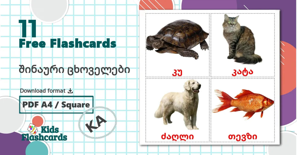 11 Domestic animals flashcards