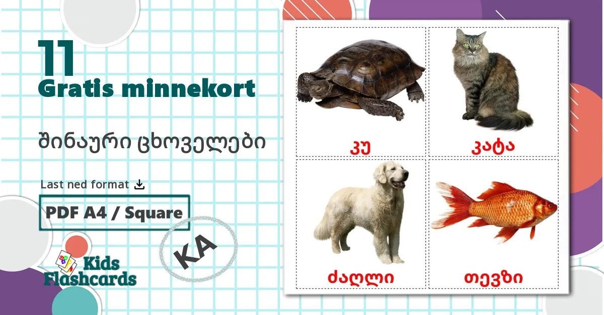 11 შინაური ცხოველები bildekort