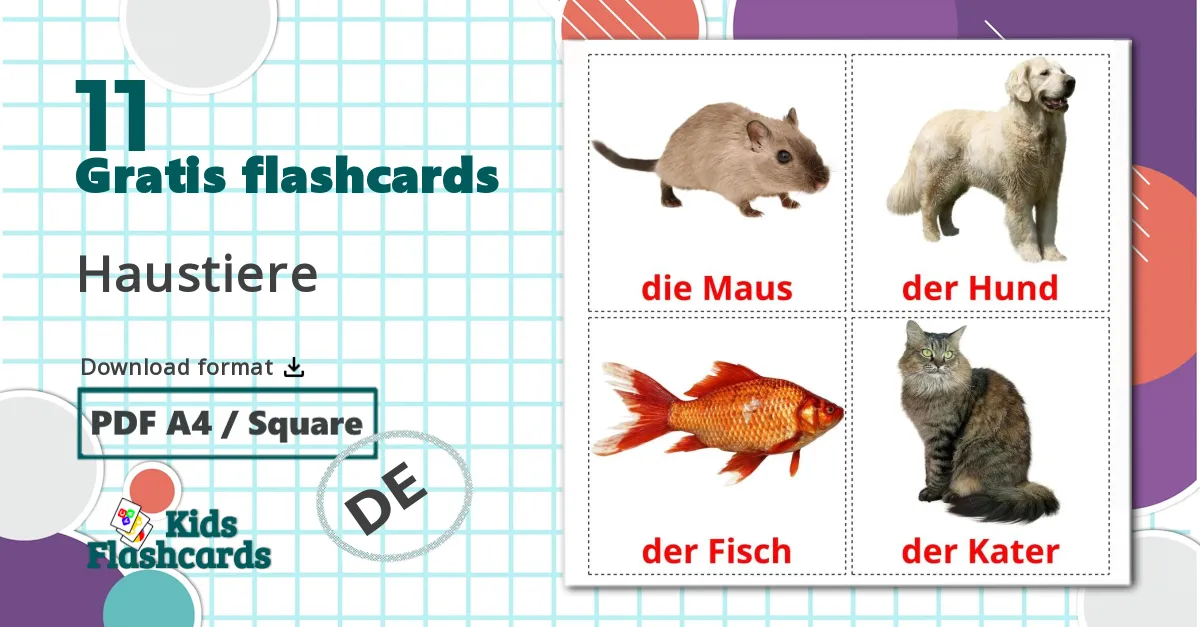 Animales Domésticos - tysk ordforrådskort