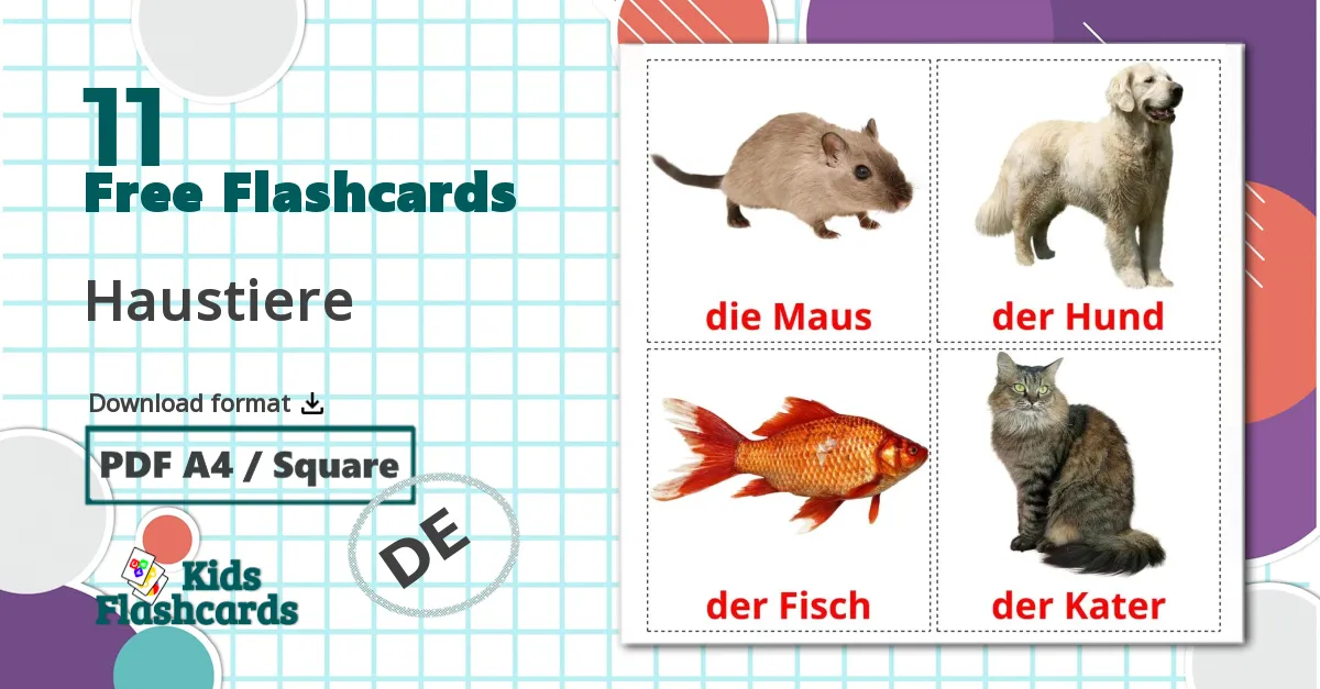 11 Haustiere flashcards