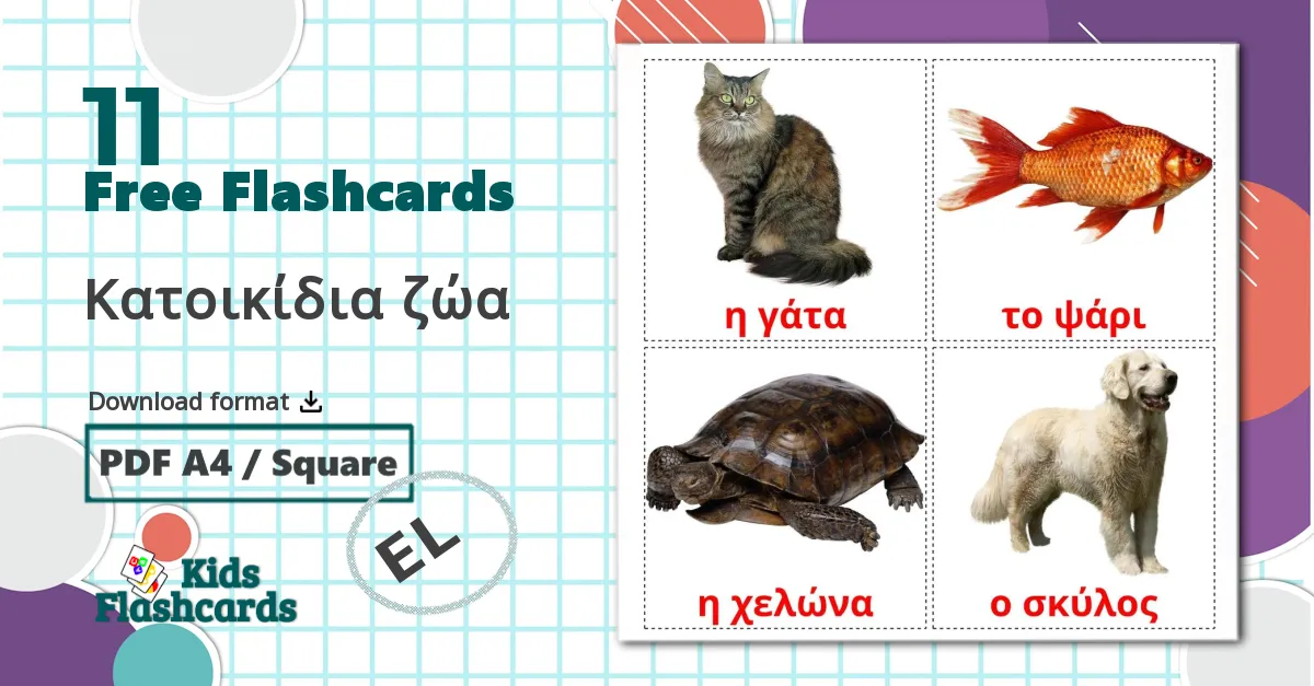 11 Κατοικίδια ζώα  flashcards