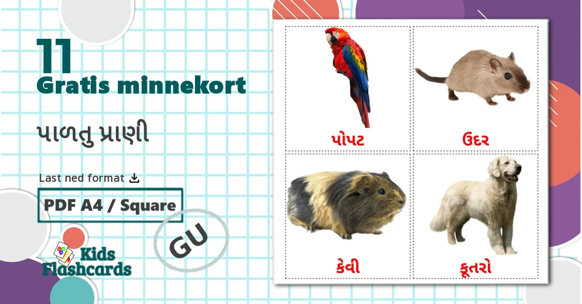 11 પાળતુ પ્રાણી bildekort
