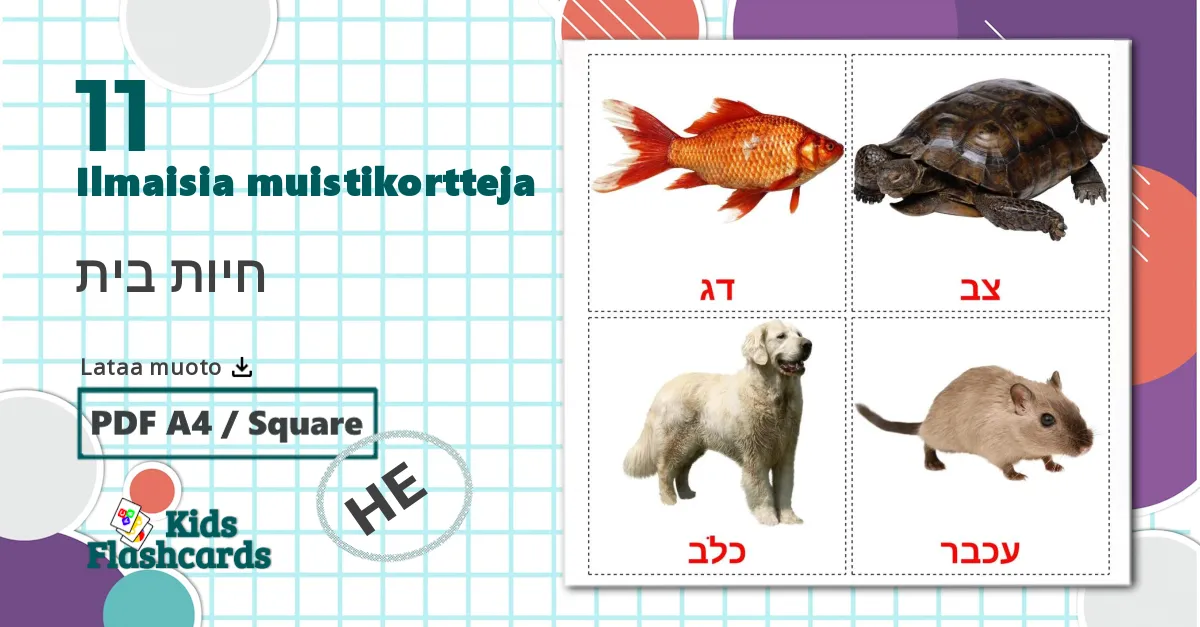 11 חיות בית lasten kuvakortit