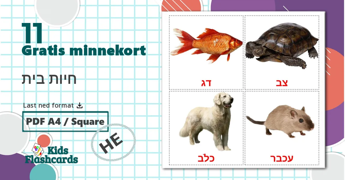 11 חיות בית bildekort
