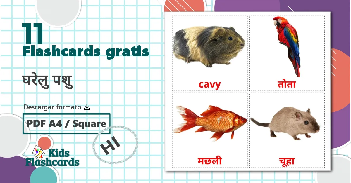 11 tarjetas didacticas de Animales Domésticos