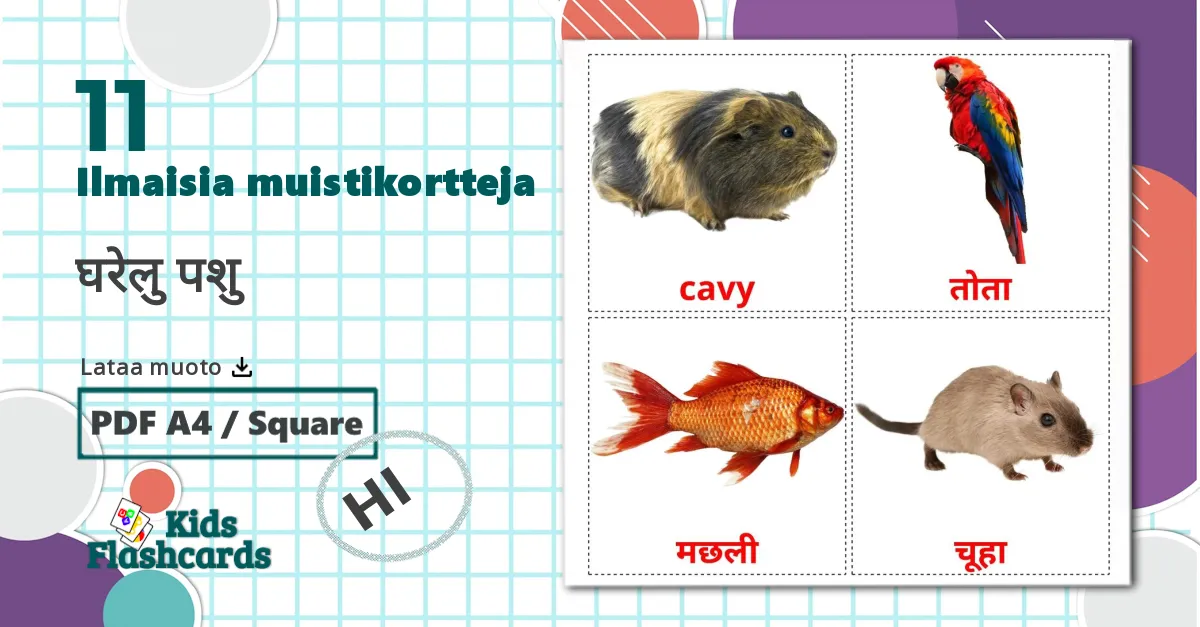 11 घरेलु पशु lasten kuvakortit