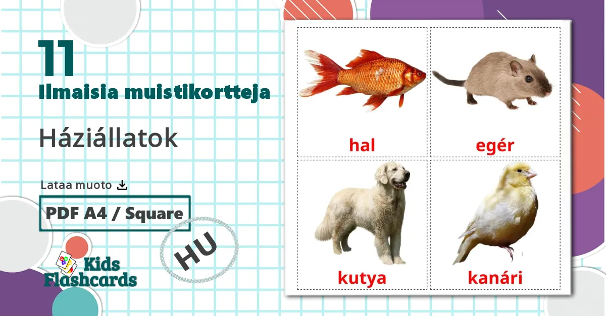 11 Háziállatok lasten kuvakortit