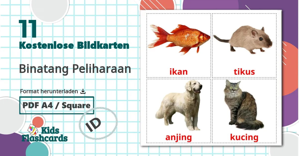 11 Bildkarten für Binatang Peliharaan