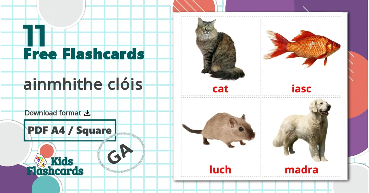 11 ainmhithe clóis flashcards