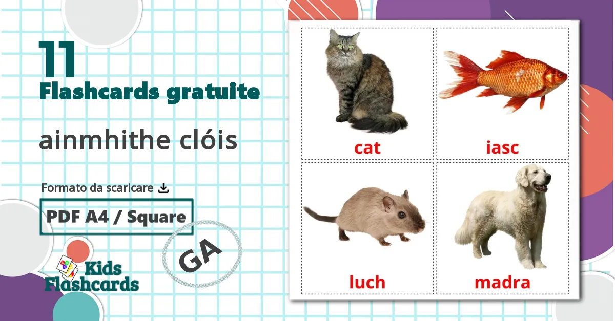 11 flashcards di ainmhithe clóis