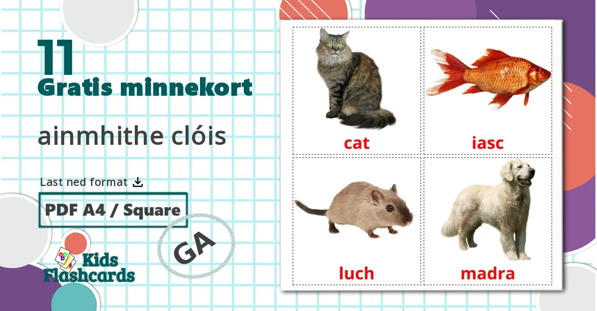 11 ainmhithe clóis bildekort