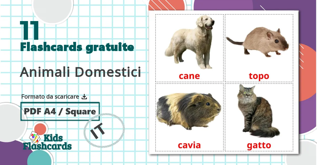 11 flashcards di Animali Domestici