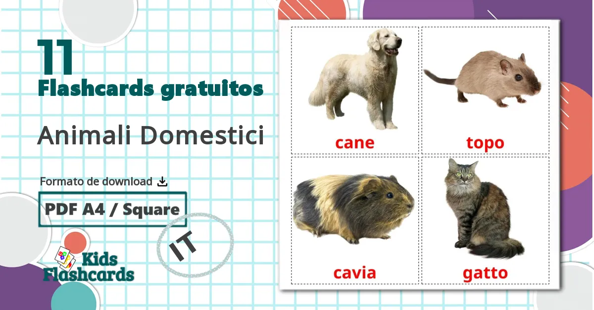 11 Flashcards de Animali Domestici