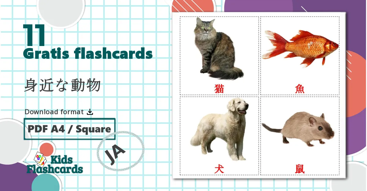 11 身近な動物 billedkort for børn