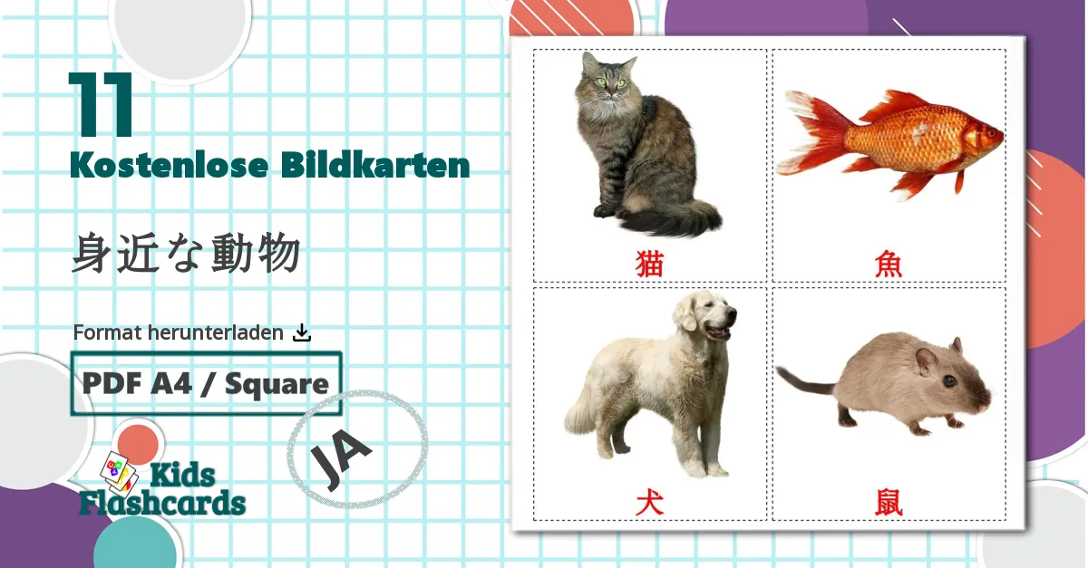 11 Bildkarten für 身近な動物