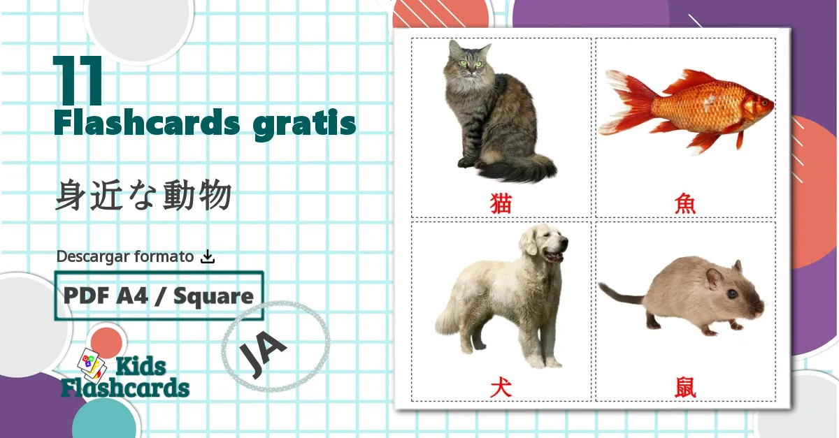 11 tarjetas didacticas de 身近な動物