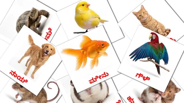 15 FREE Farm animals Flashcards | PDF | Kannada Words