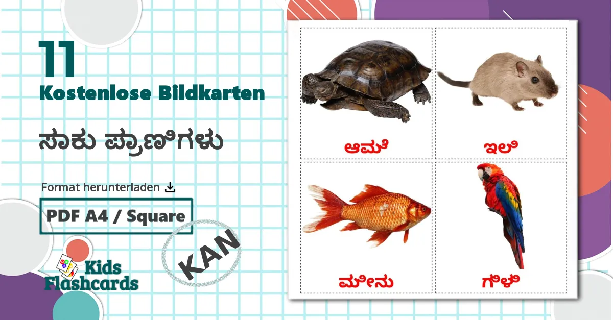 11 Bildkarten für ಸಾಕು ಪ್ರಾಣಿಗಳು