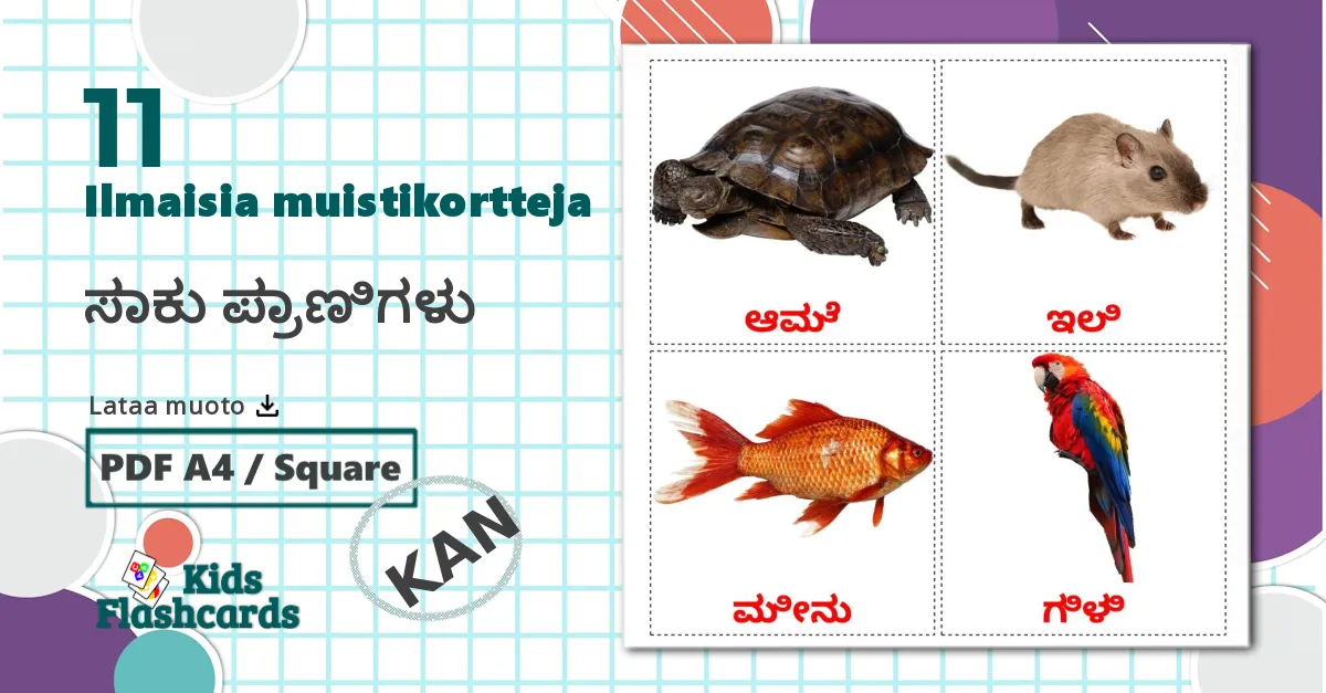 11 ಸಾಕು ಪ್ರಾಣಿಗಳು lasten kuvakortit