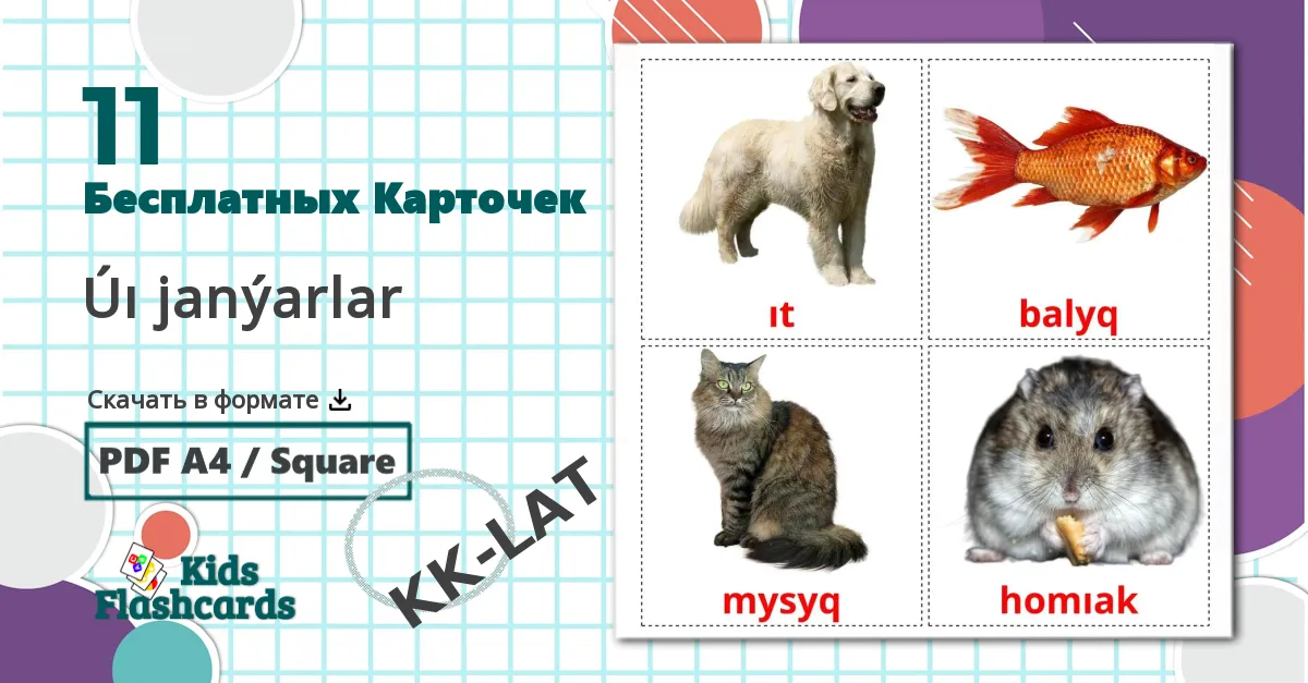 11 Úı janýarlar flashcards