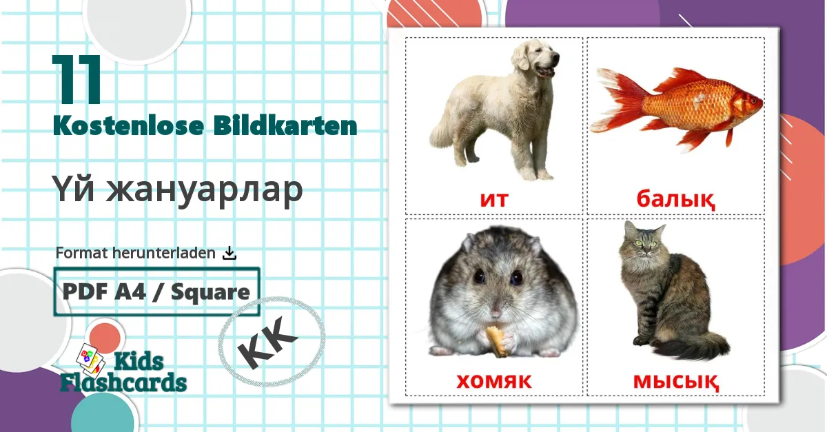 11 Bildkarten für Үй жануарлар