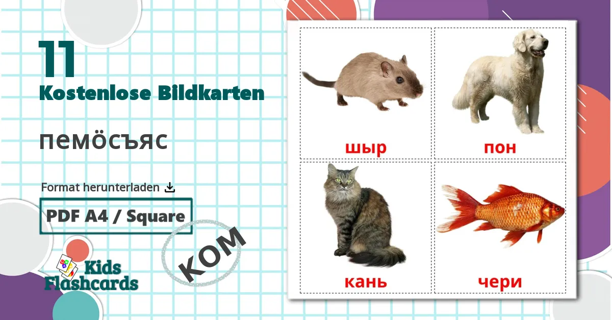 11 Bildkarten für пемöcъяс