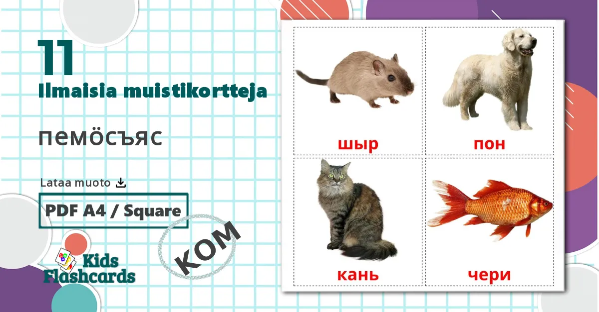 11 пемöcъяс lasten kuvakortit