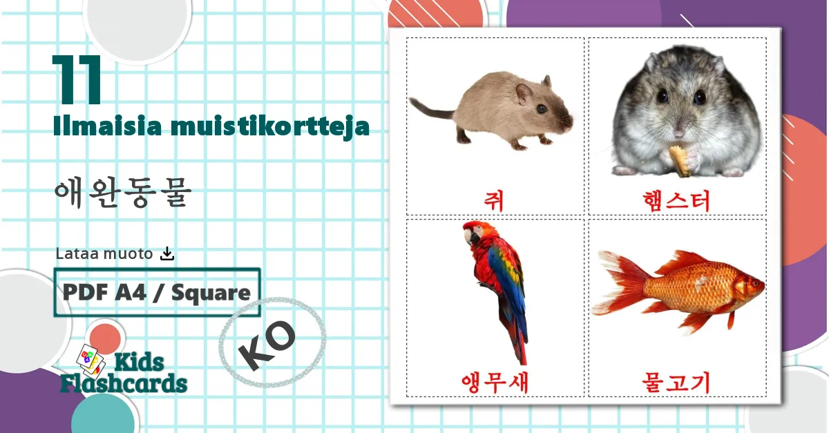 11 애완동물 lasten kuvakortit
