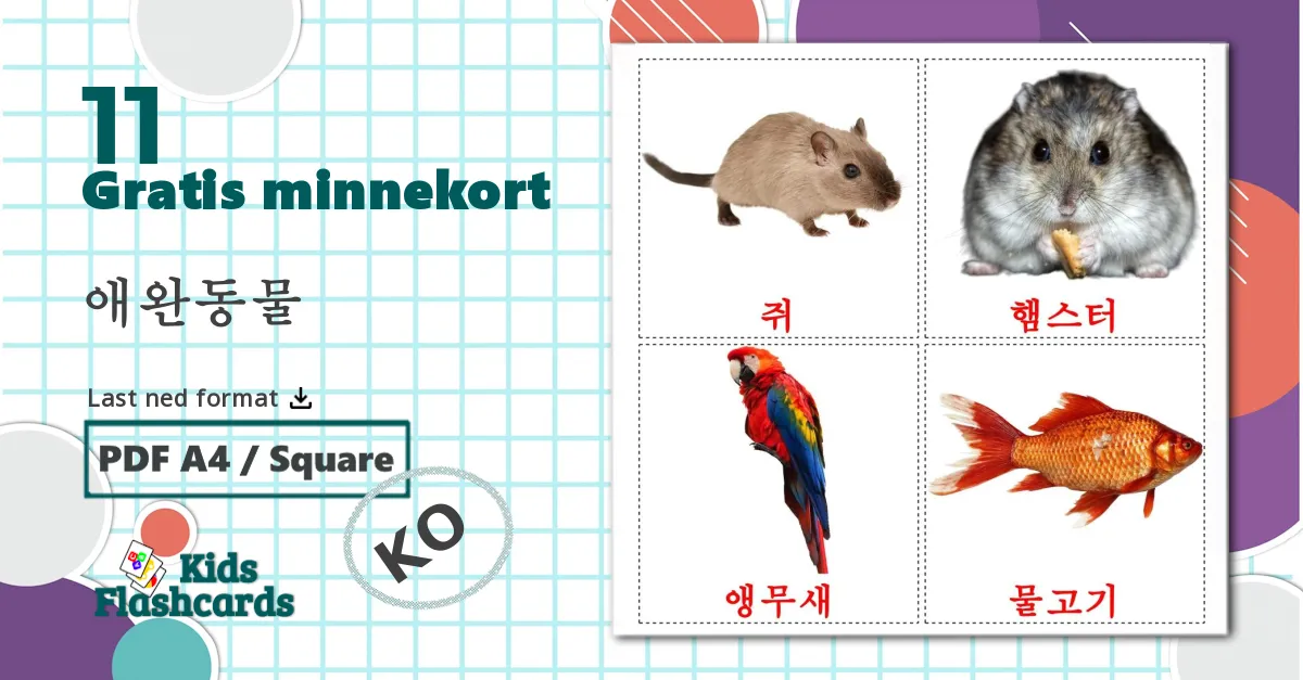 11 애완동물 bildekort