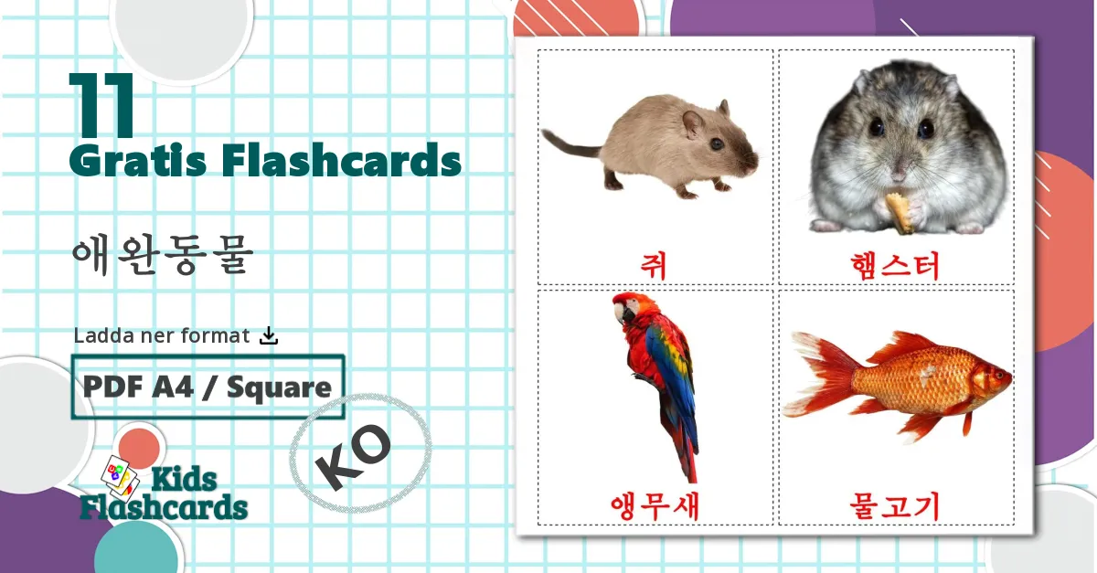 11 애완동물 bildkort för barn