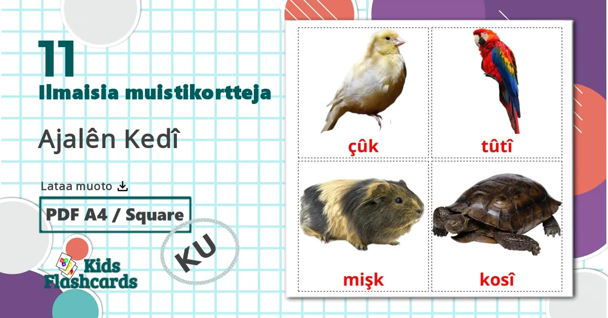 11 Ajalên Kedî lasten kuvakortit