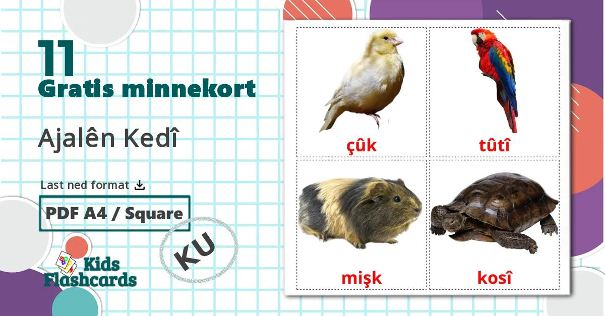 11 Ajalên Kedî bildekort