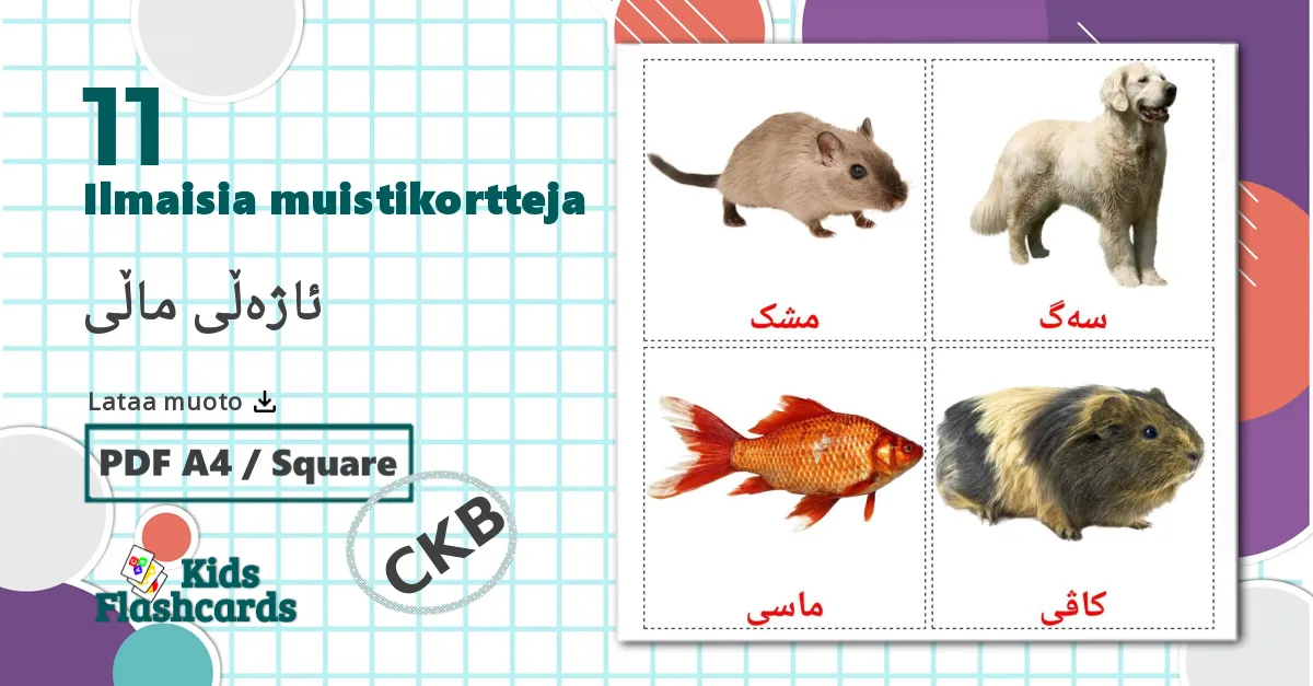 11 ئاژەڵی ماڵی lasten kuvakortit