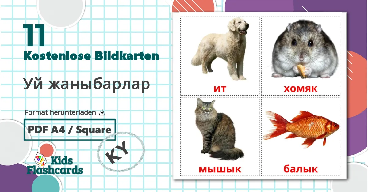 11 Bildkarten für Уй жаныбарлар