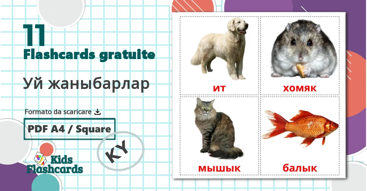 11 flashcards di Уй жаныбарлар