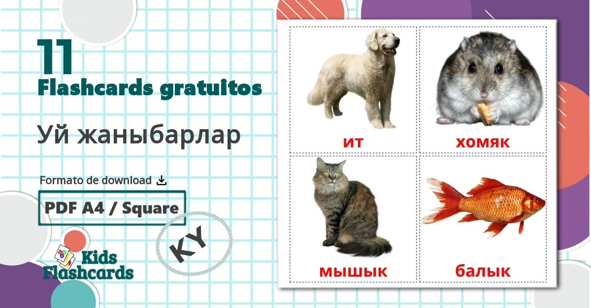 11 Flashcards de Уй жаныбарлар