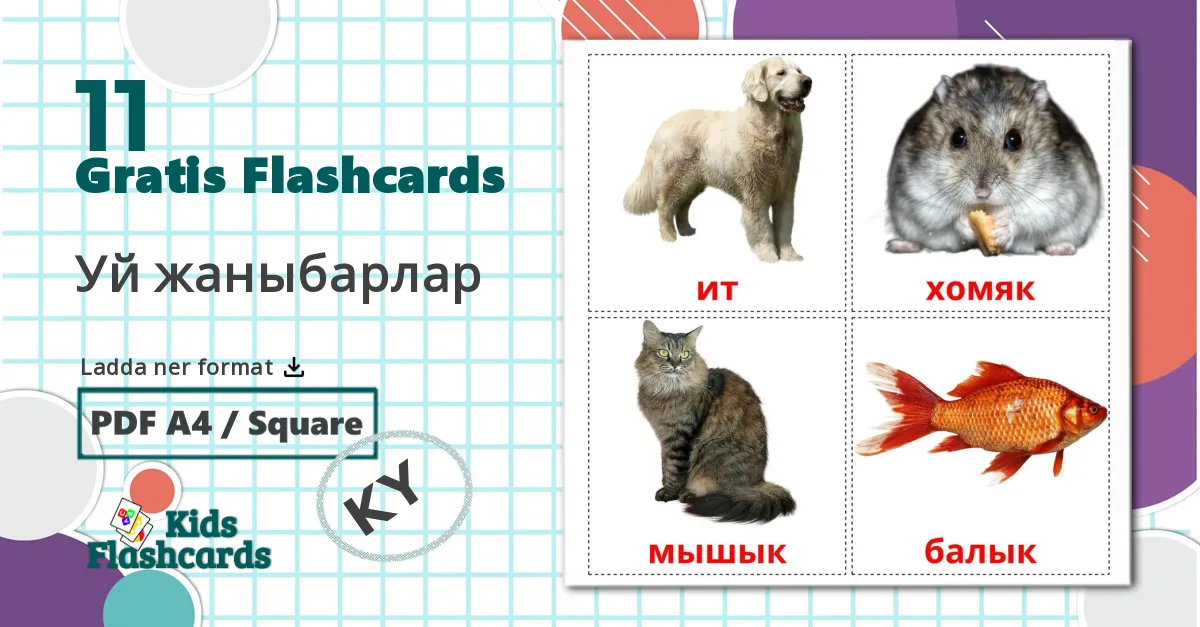 11 Уй жаныбарлар bildkort för barn
