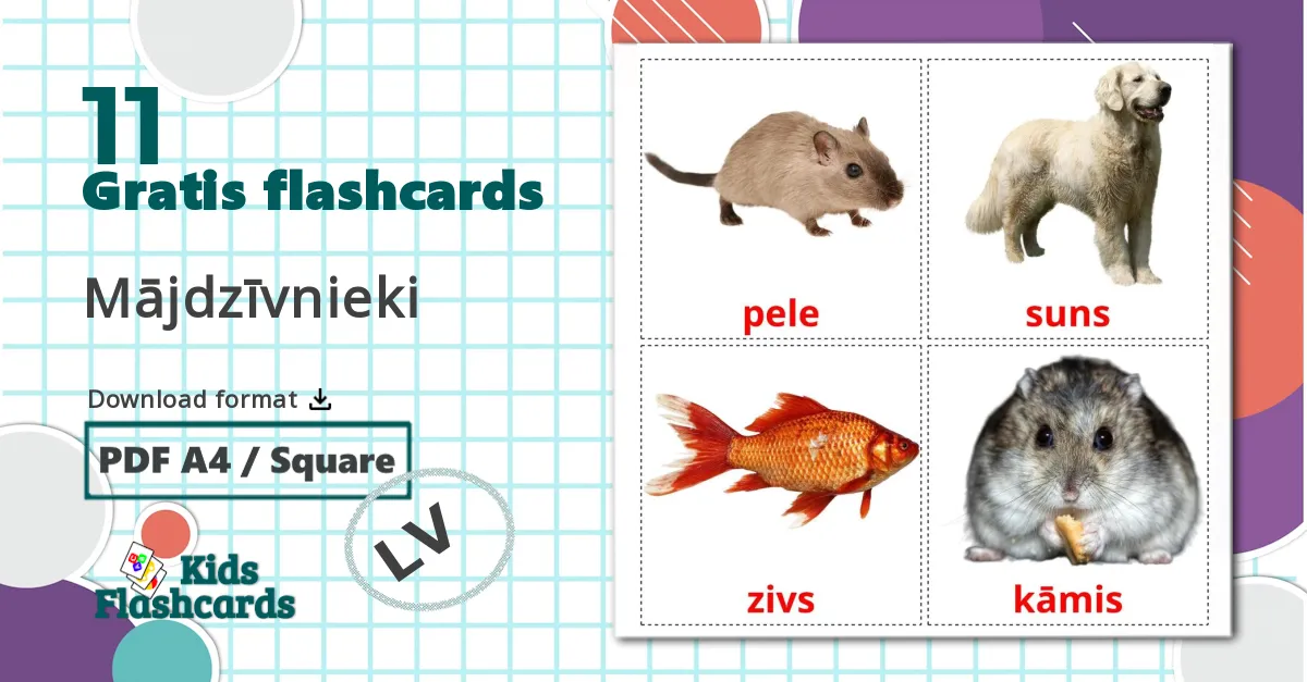11 Mājdzīvnieki  billedkort for børn