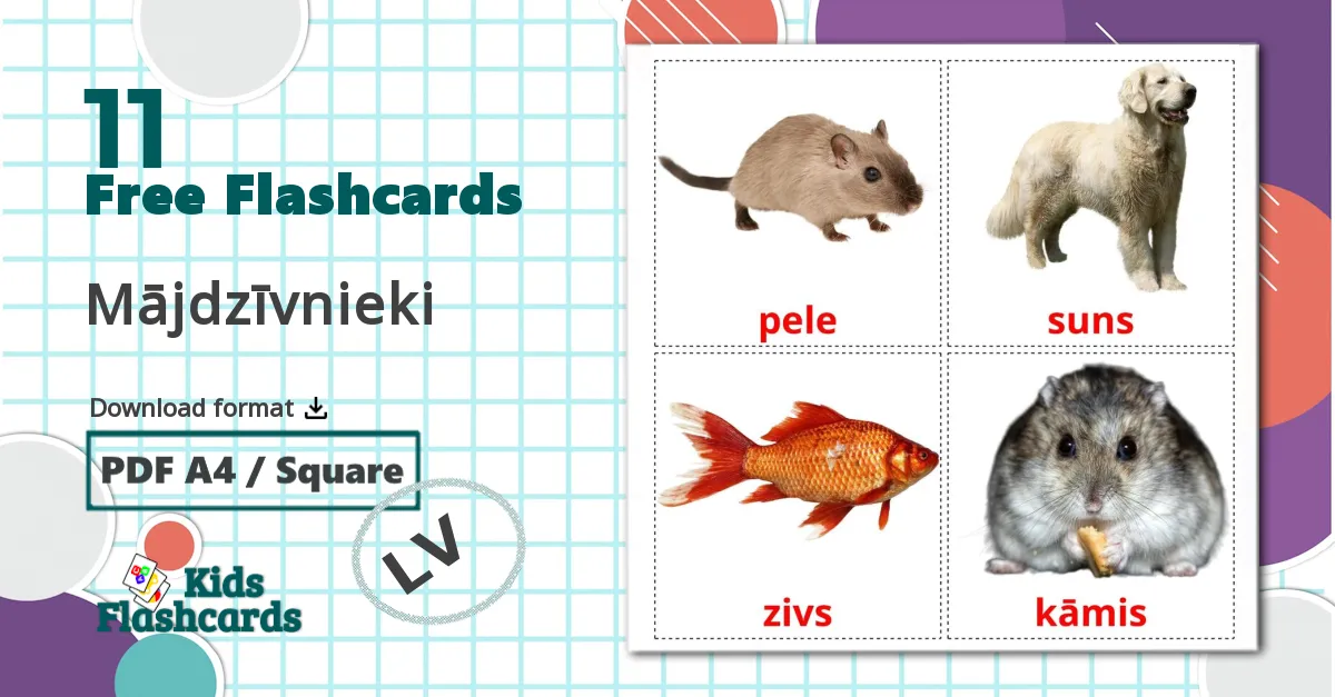 11 Mājdzīvnieki  flashcards