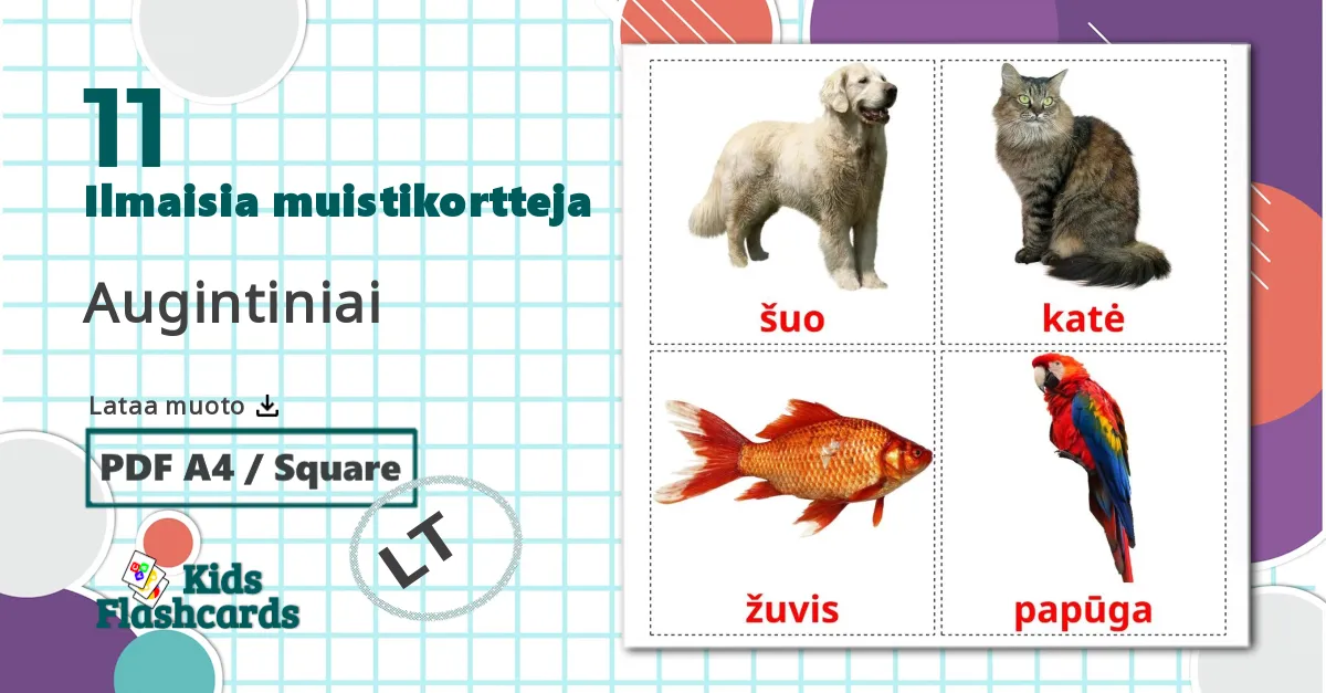 11 Augintiniai  lasten kuvakortit